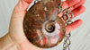 Ammonite Pendant Necklace on a Chunky Sterling Silver Chain. Handmade Designer Necklace. 2715