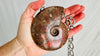 Ammonite Pendant Necklace on a Chunky Sterling Silver Chain. Handmade Designer Necklace. 2715