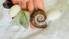 Ammonite & White Jade Necklace with Prehnite, Fluorite and Selenite. Medicine Necklace.2115