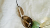 Aventurine Cicada and Smoky Quartz Pendant Necklace. Medicine Necklace. 2317