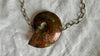 Ammonite Pendant Necklace. Chunky Sterling Silver Chain. 2010